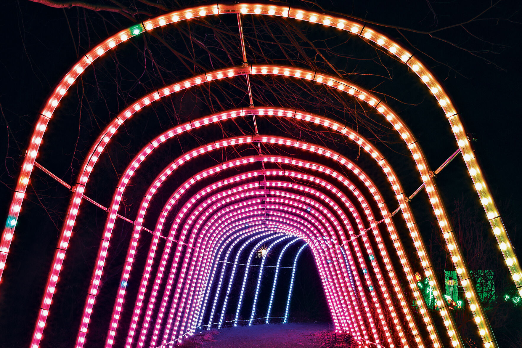 Winter Walk of Light 2020 6